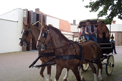 Het Paardenwagen